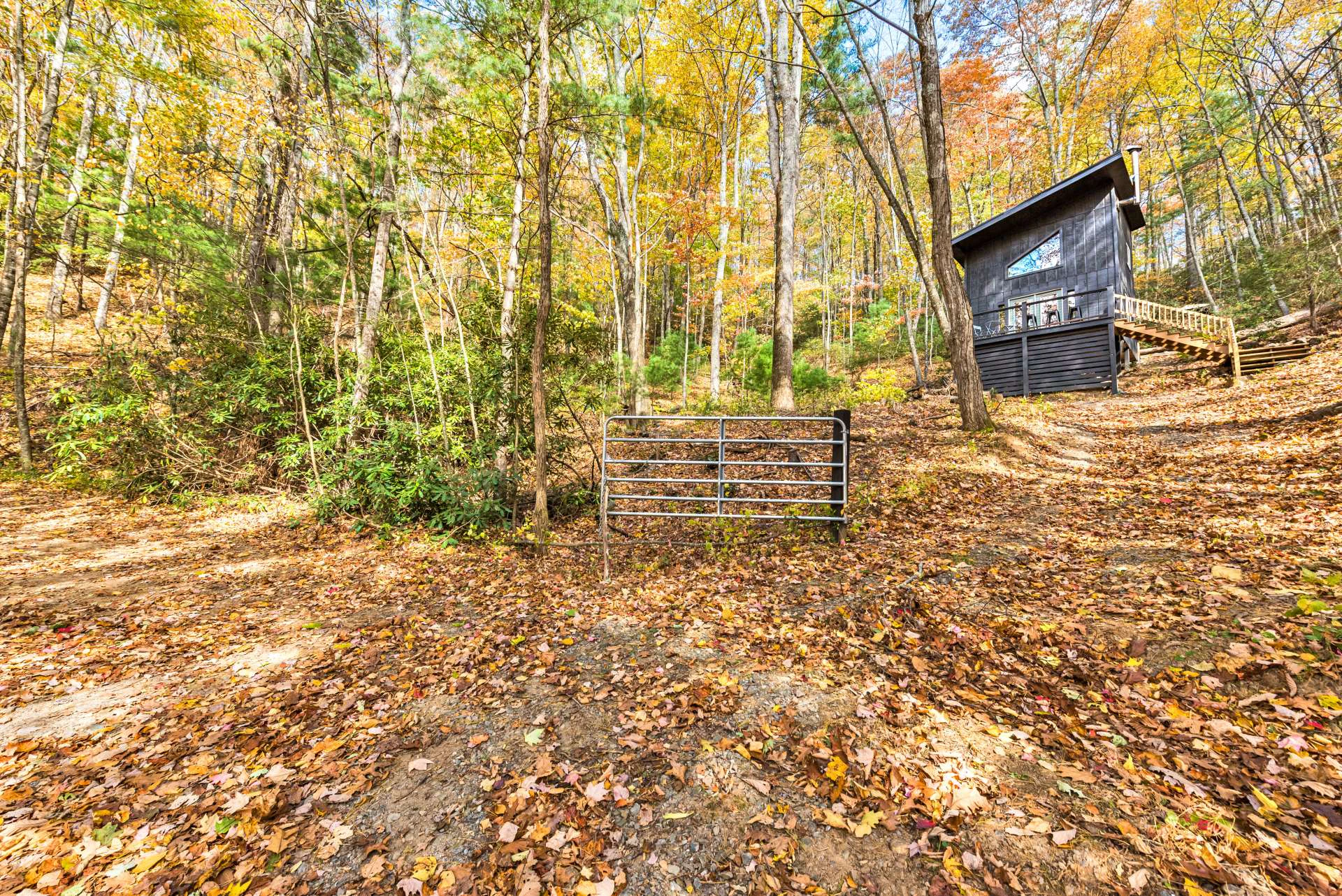 Image number 14 for the current listing