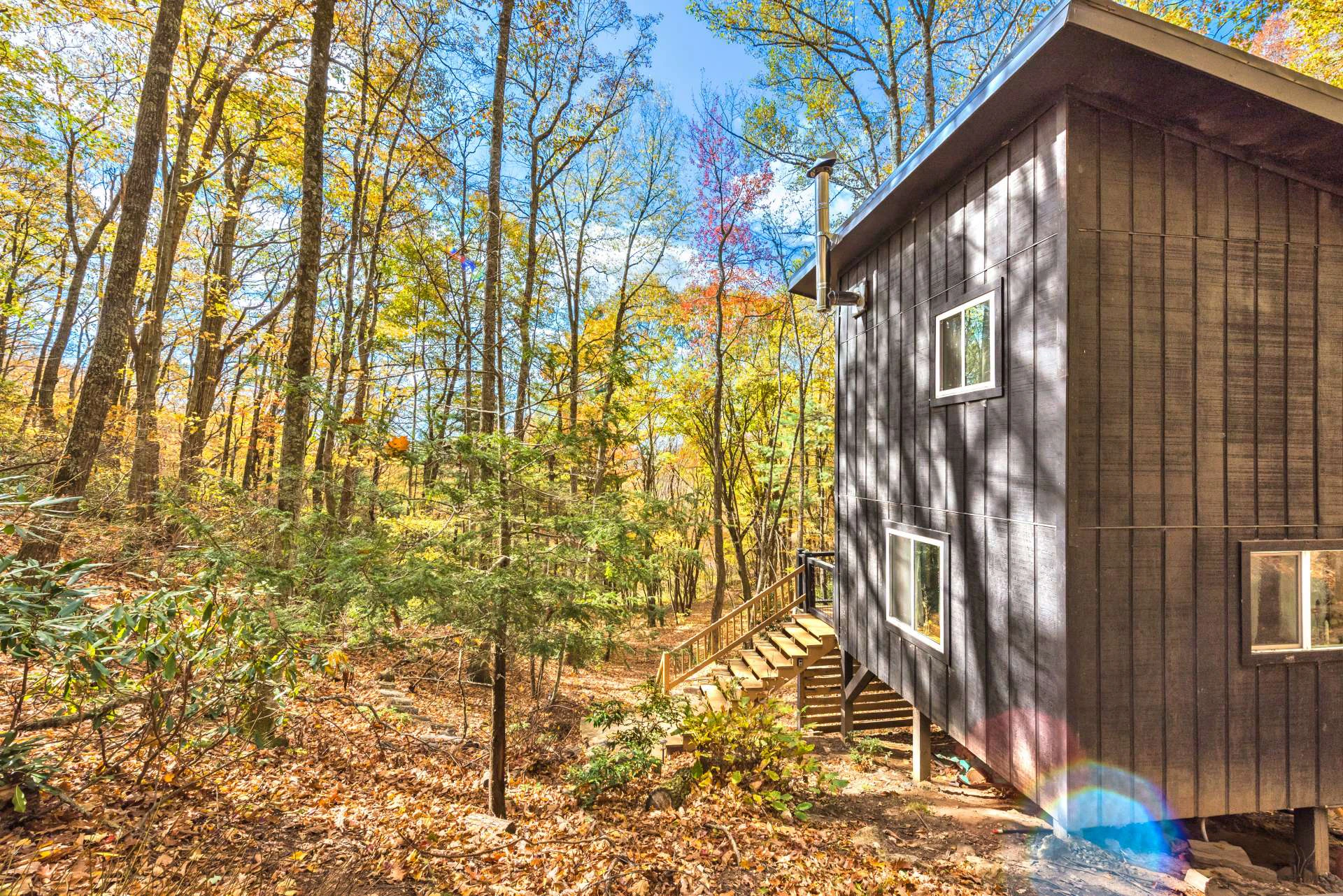 Image number 12 for the current listing