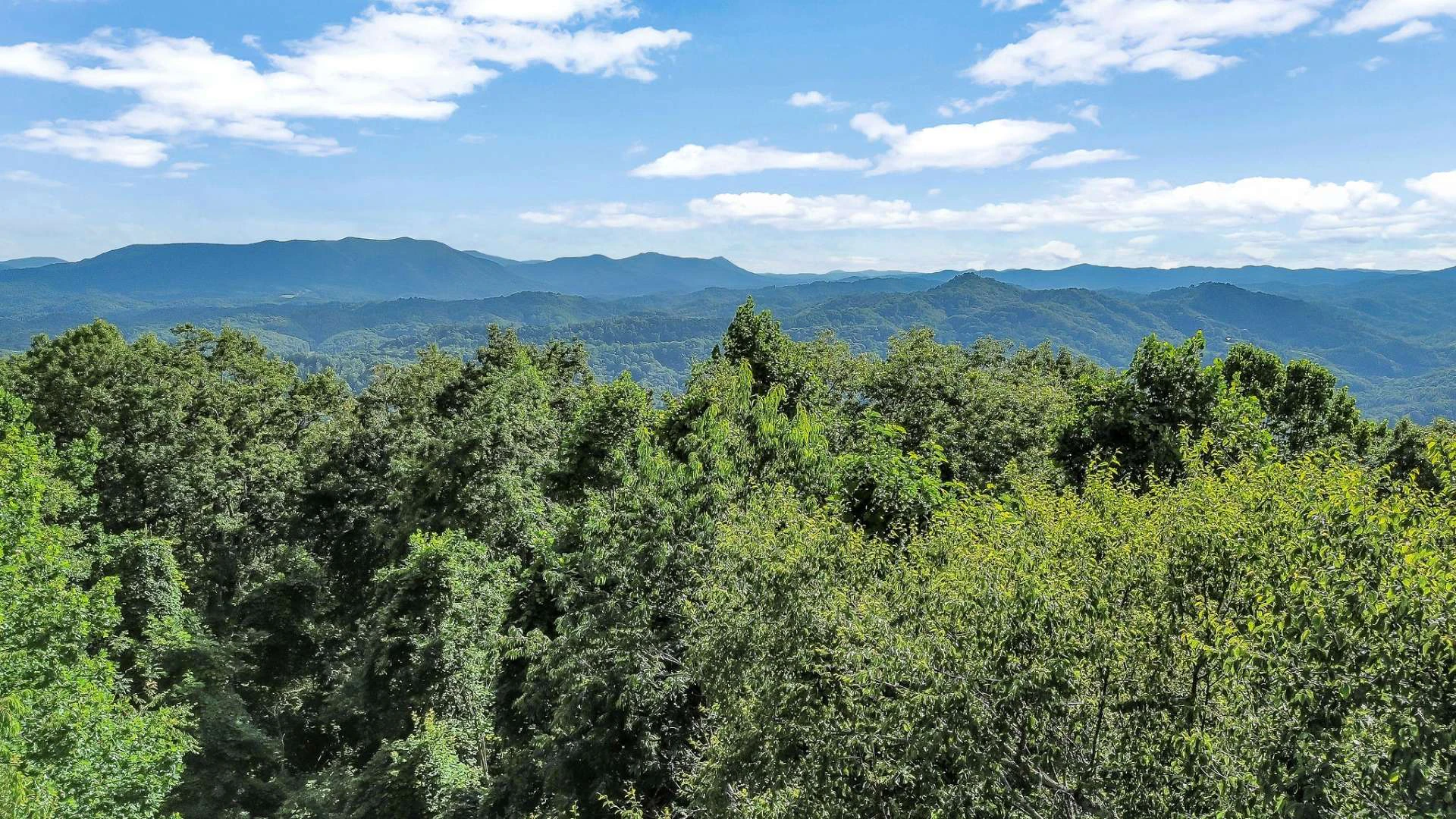 Image number 7 for the current listing