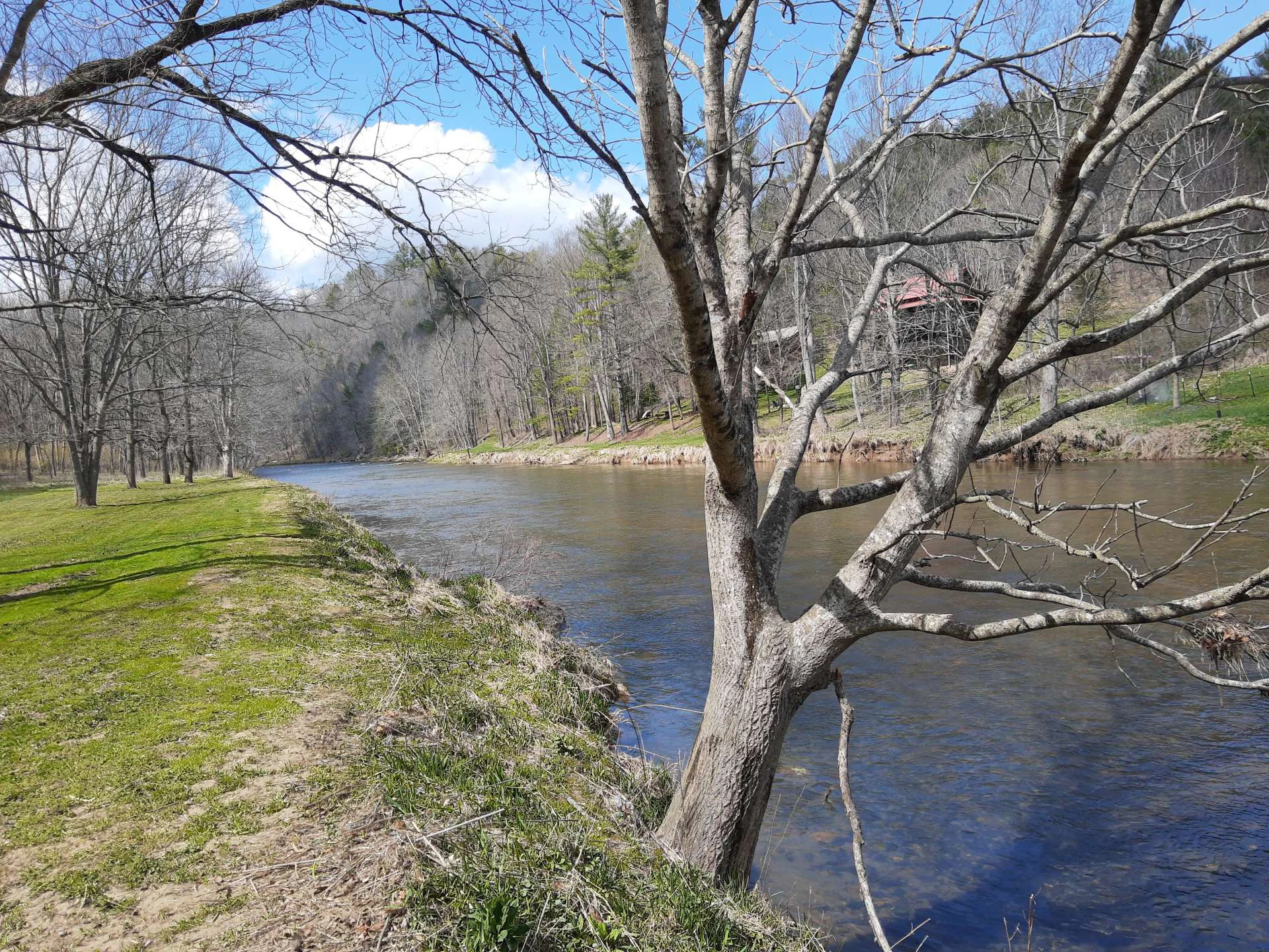 Image number 6 for the current listing