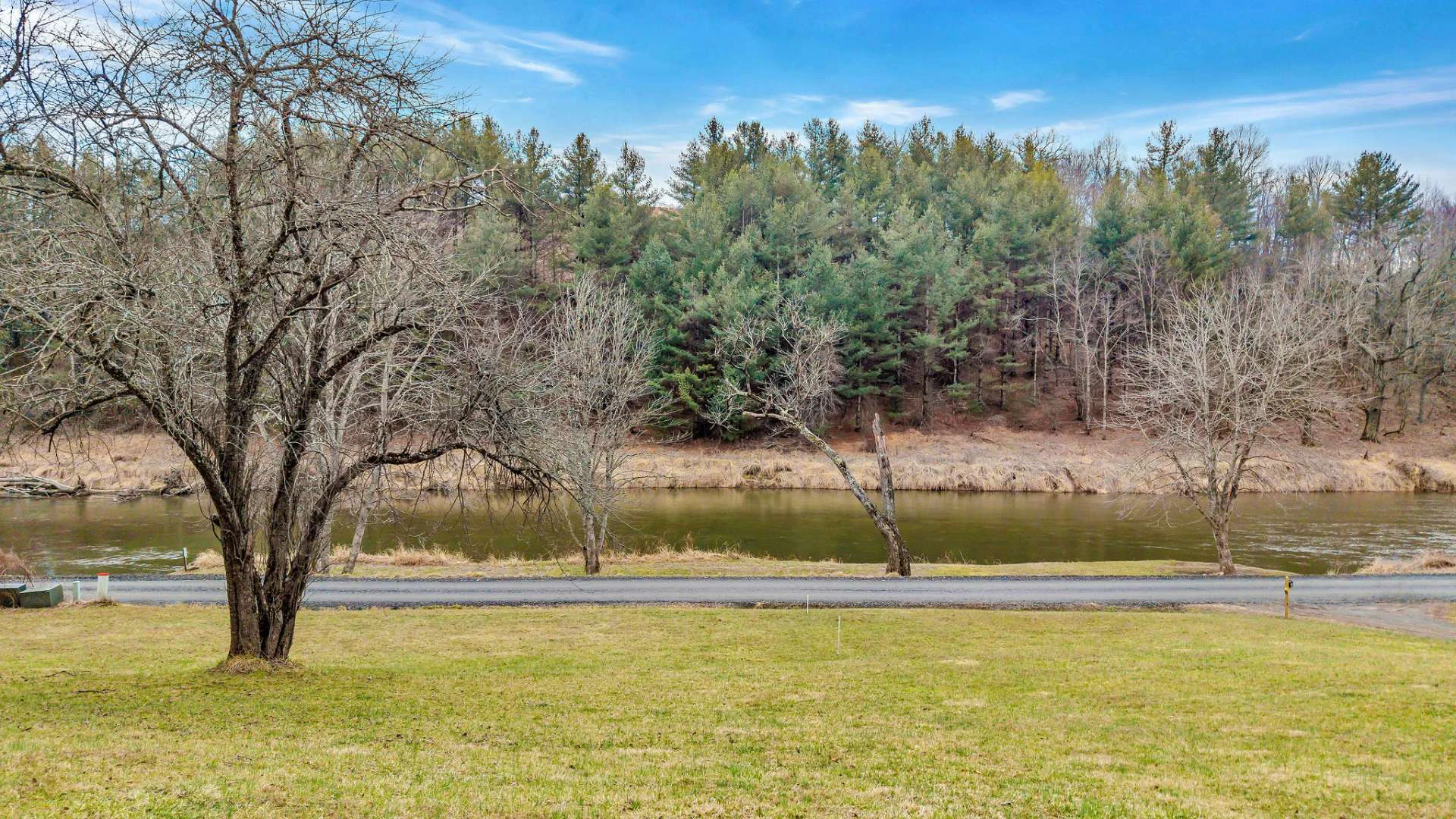 Image number 4 for the current listing