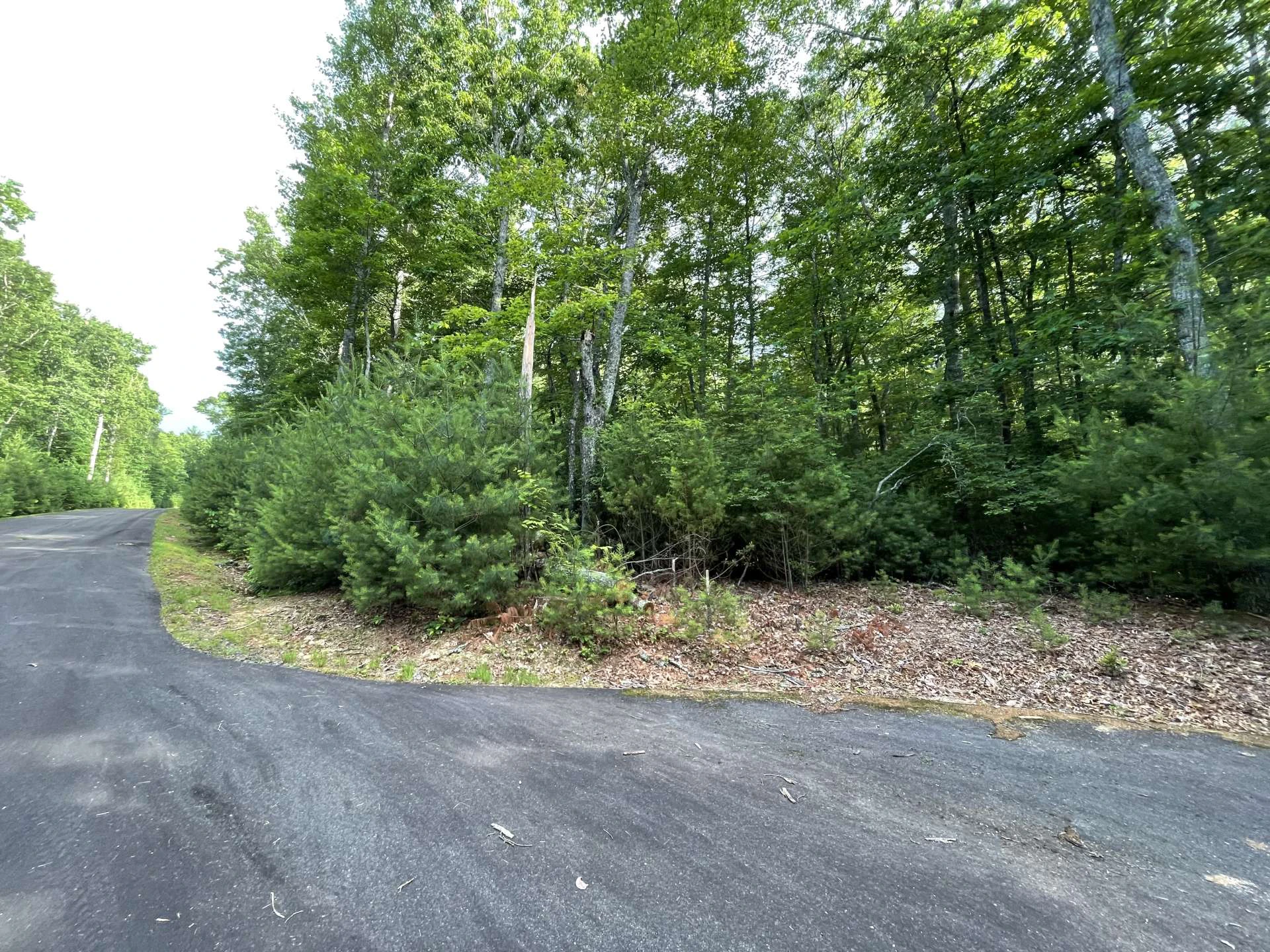 Image number 6 for the current listing