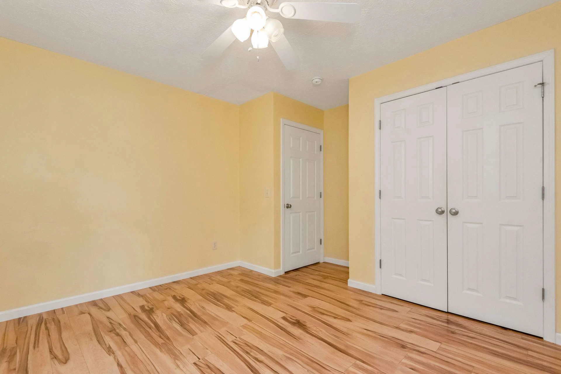 Image number 2 for the current listing
