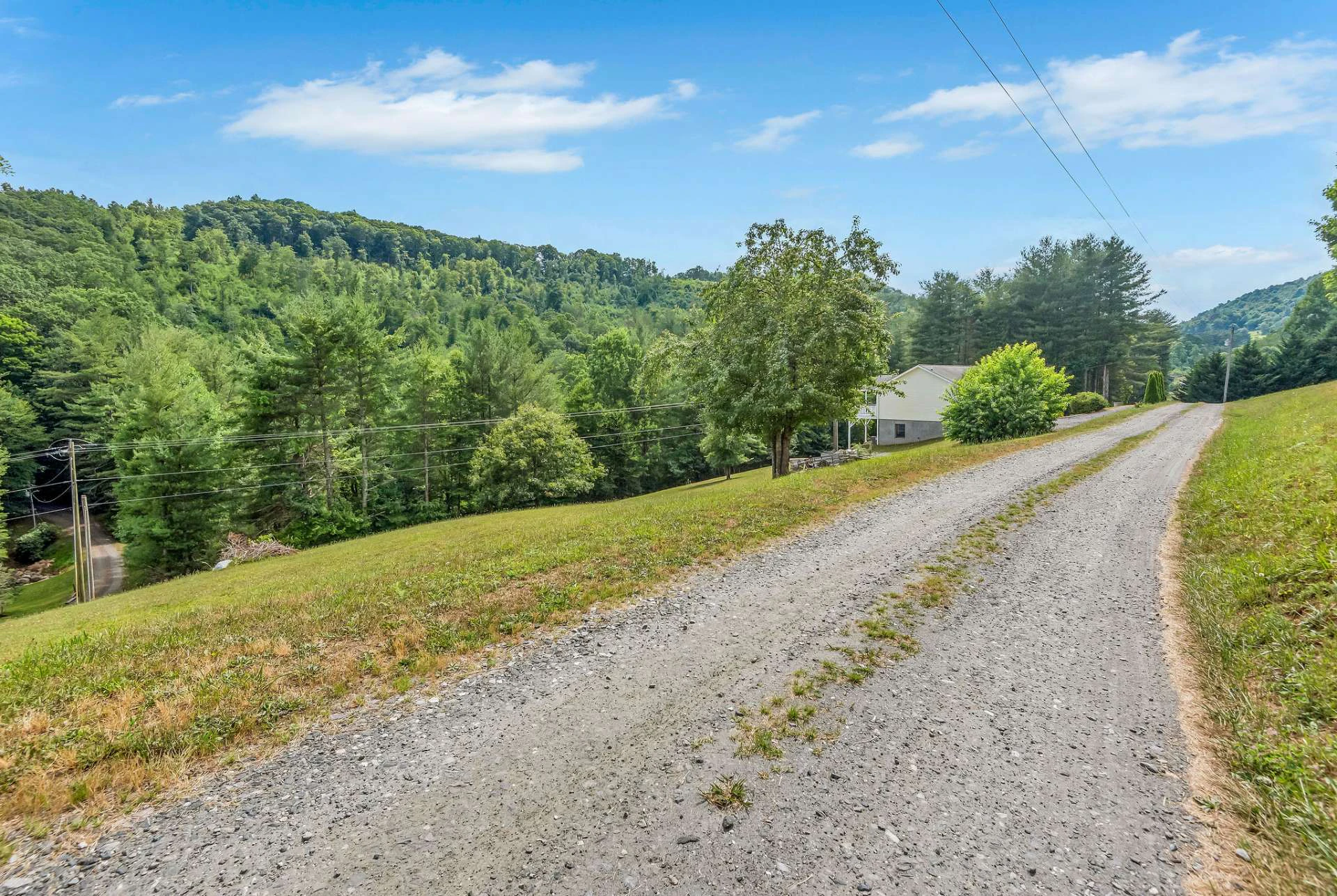 Image number 17 for the current listing
