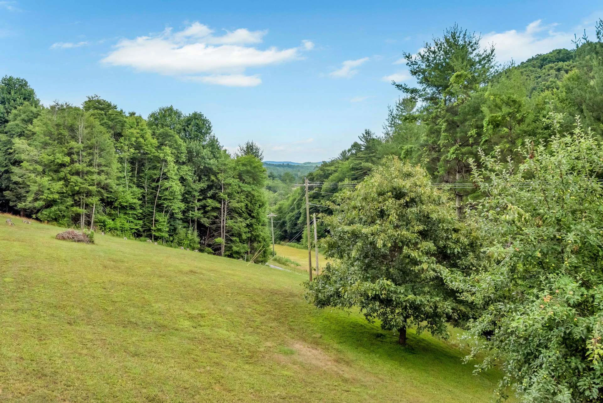 Image number 19 for the current listing