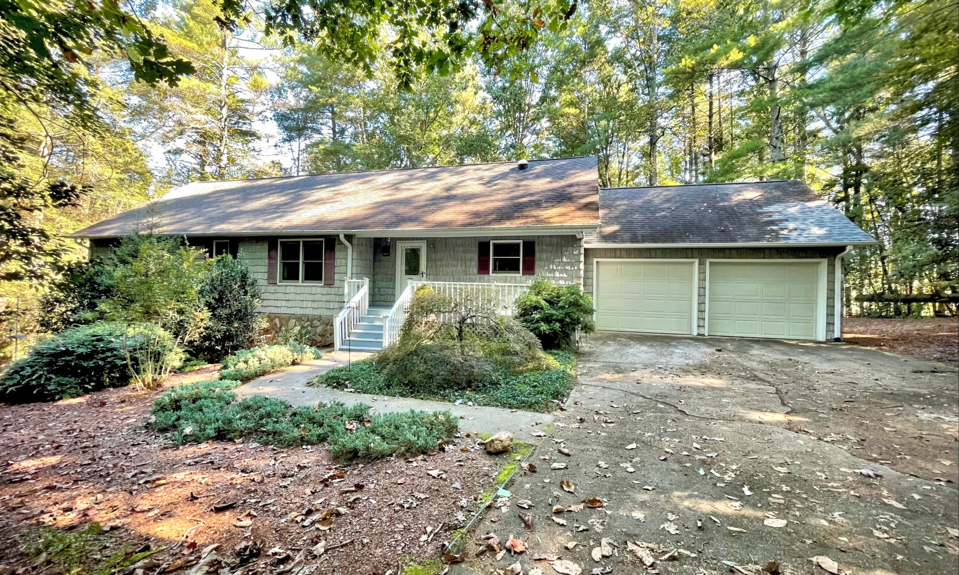 Image number 1 for the current listing