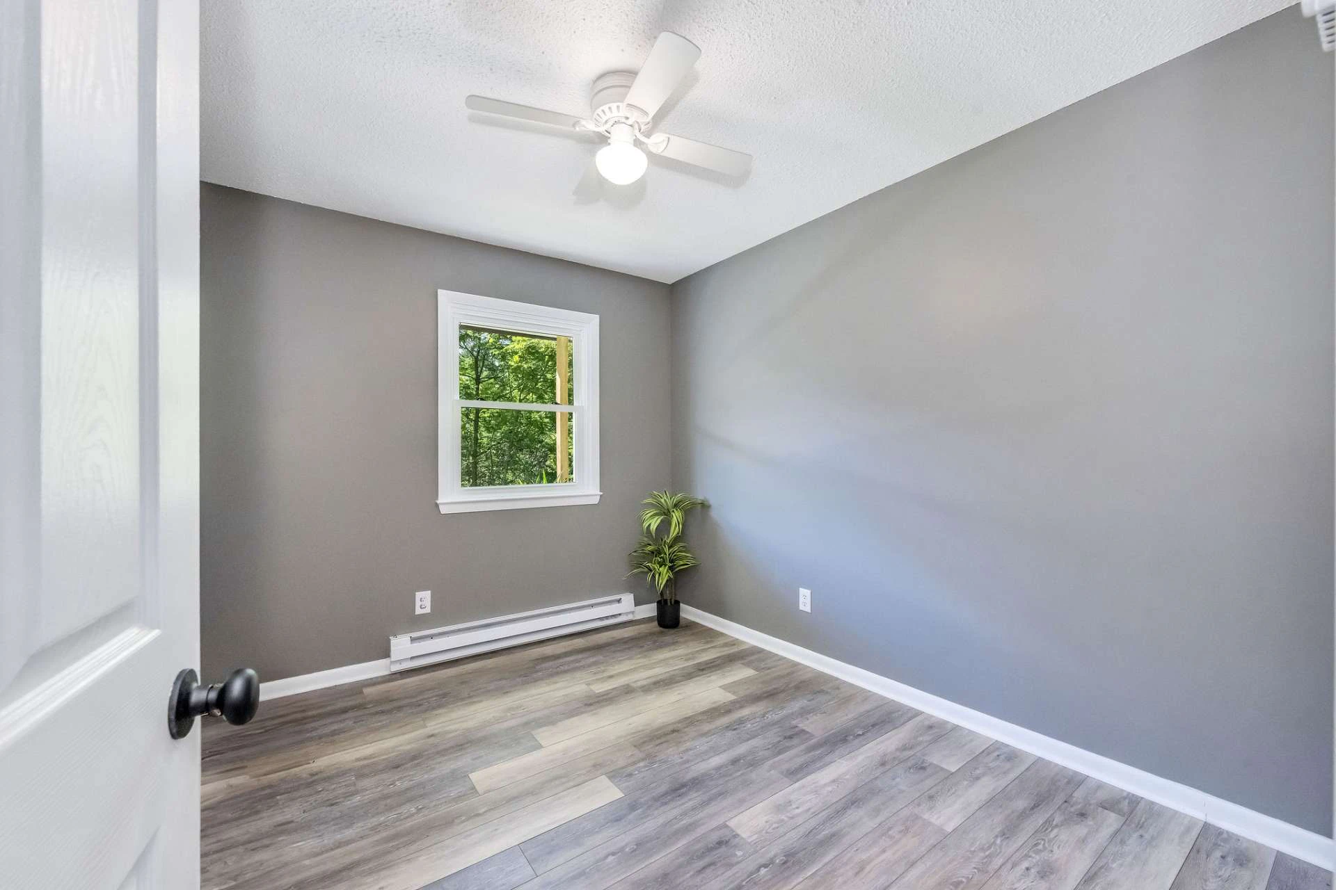 Image number 6 for the current listing