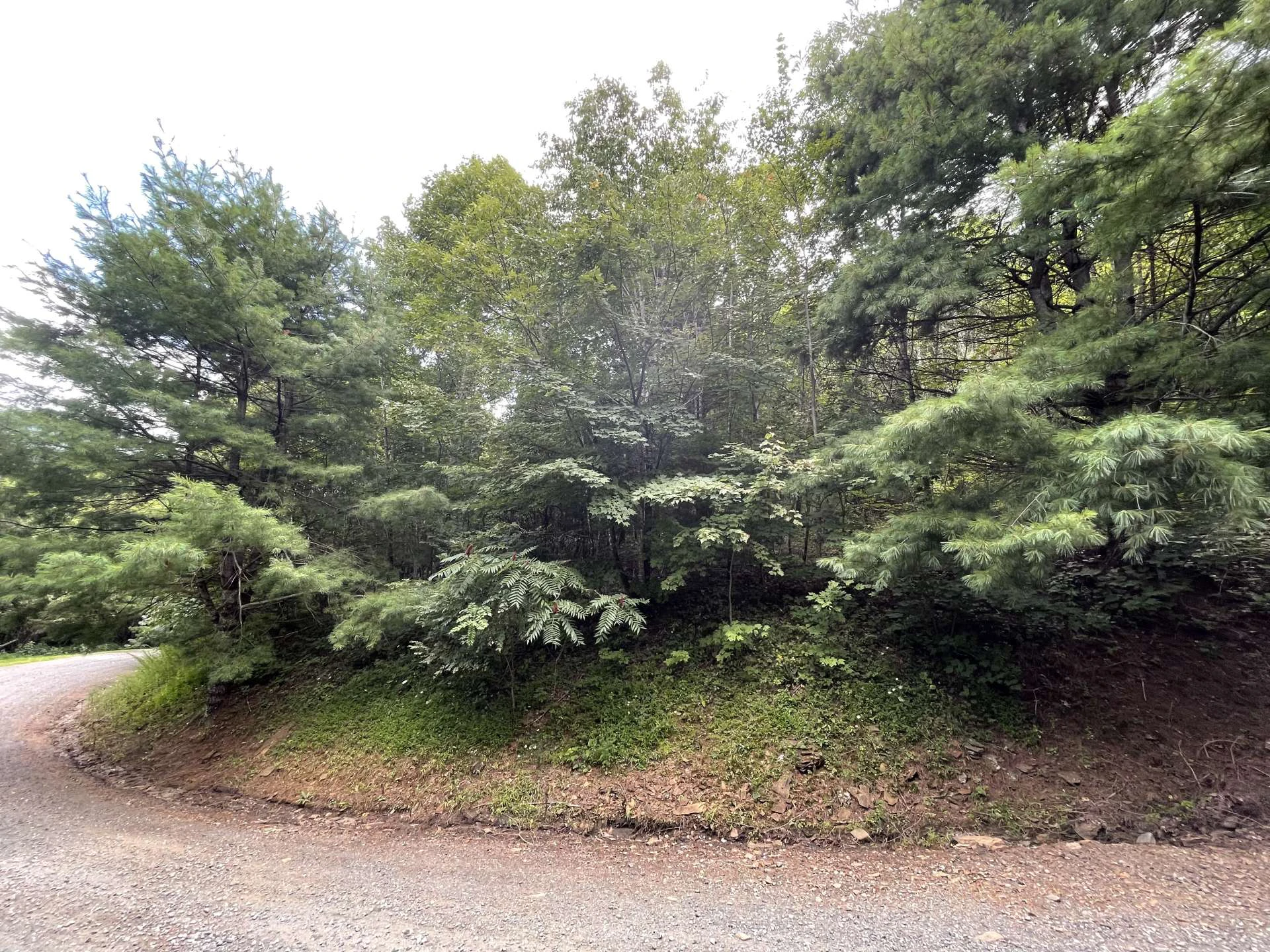 Image number 8 for the current listing