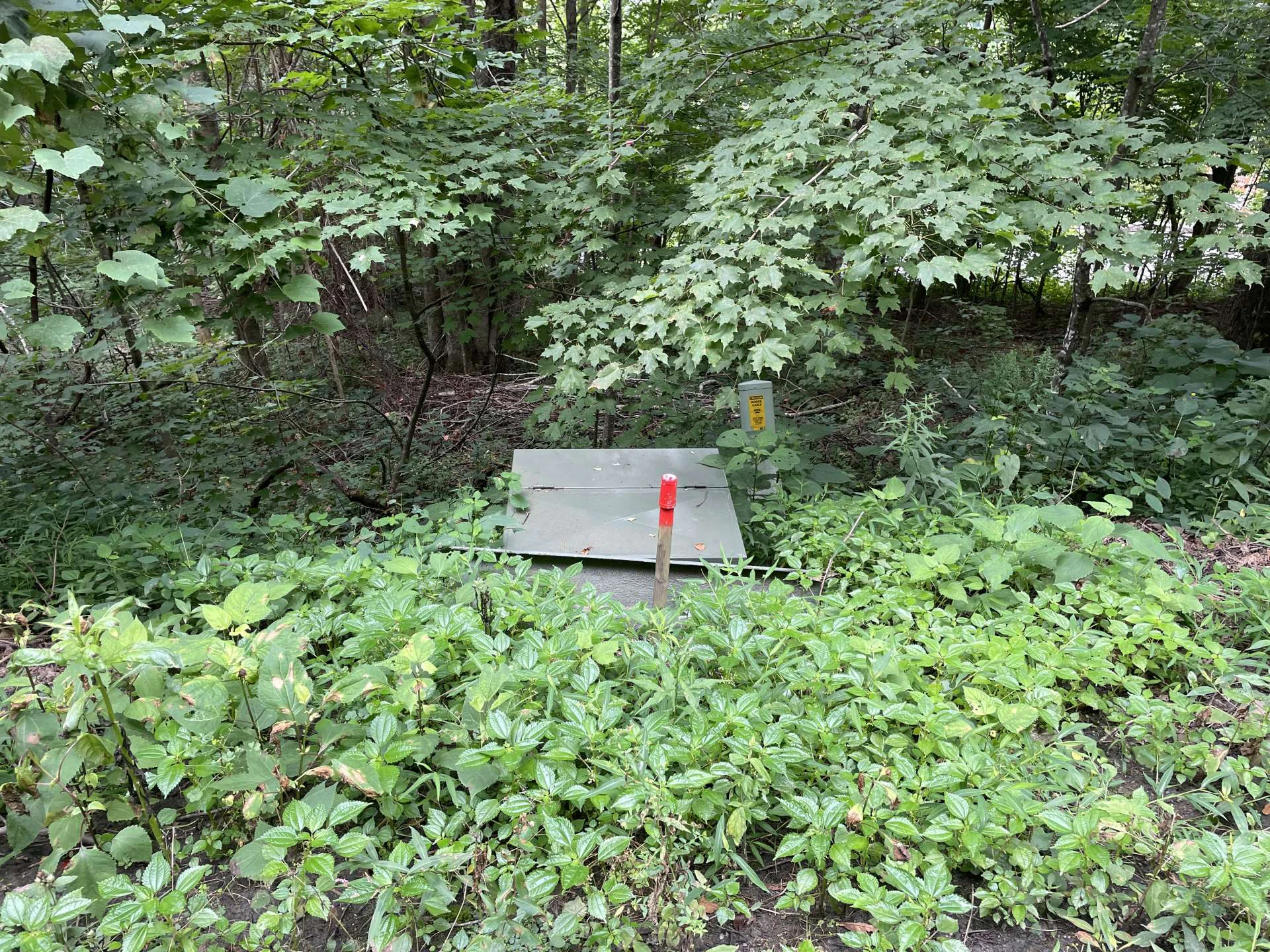 Image number 6 for the current listing