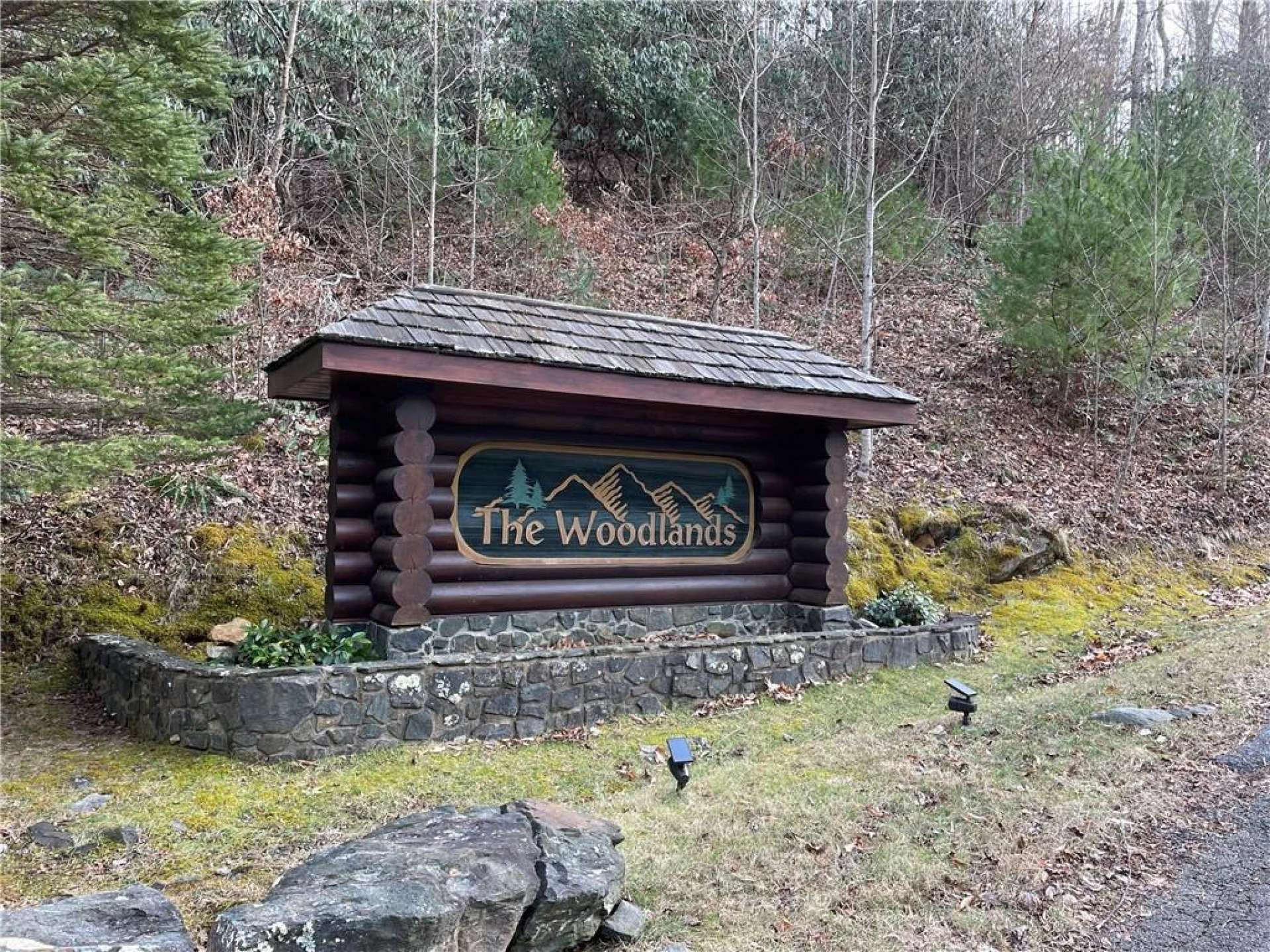 Image number 6 for the current listing