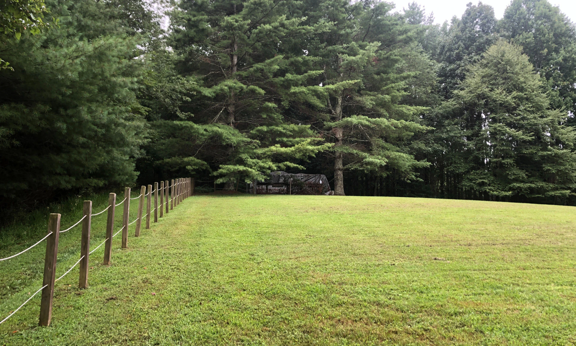 Image number 1 for the current listing