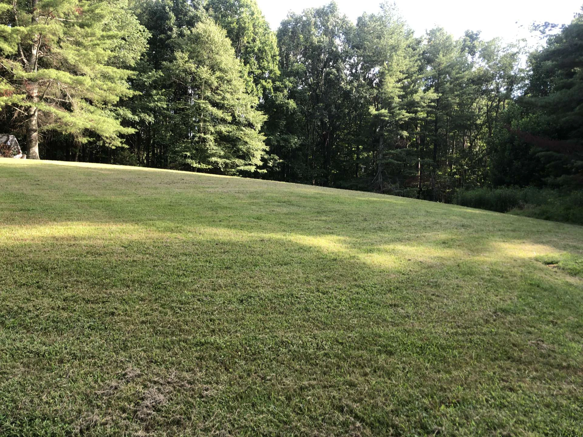 Image number 2 for the current listing