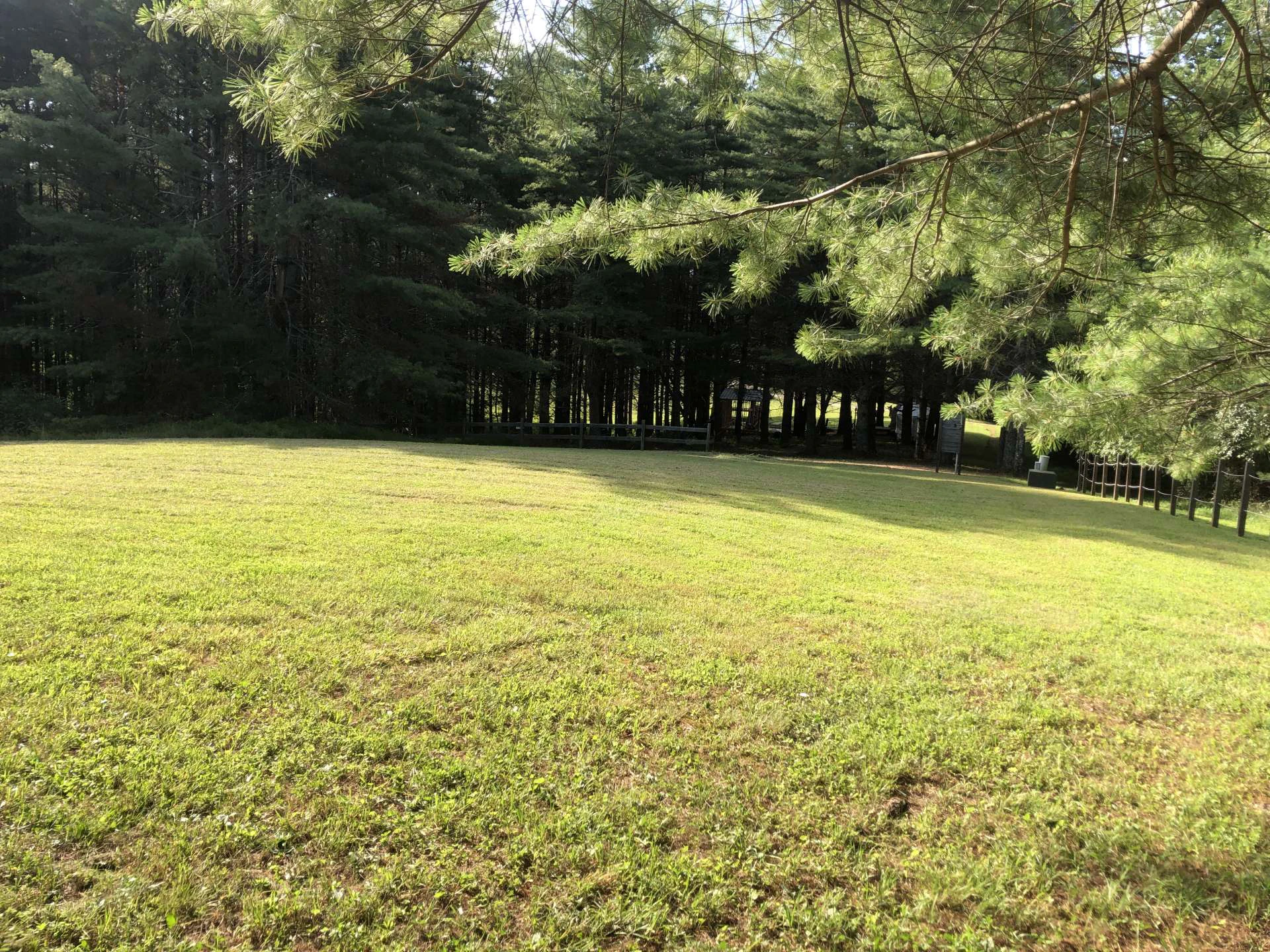 Image number 3 for the current listing
