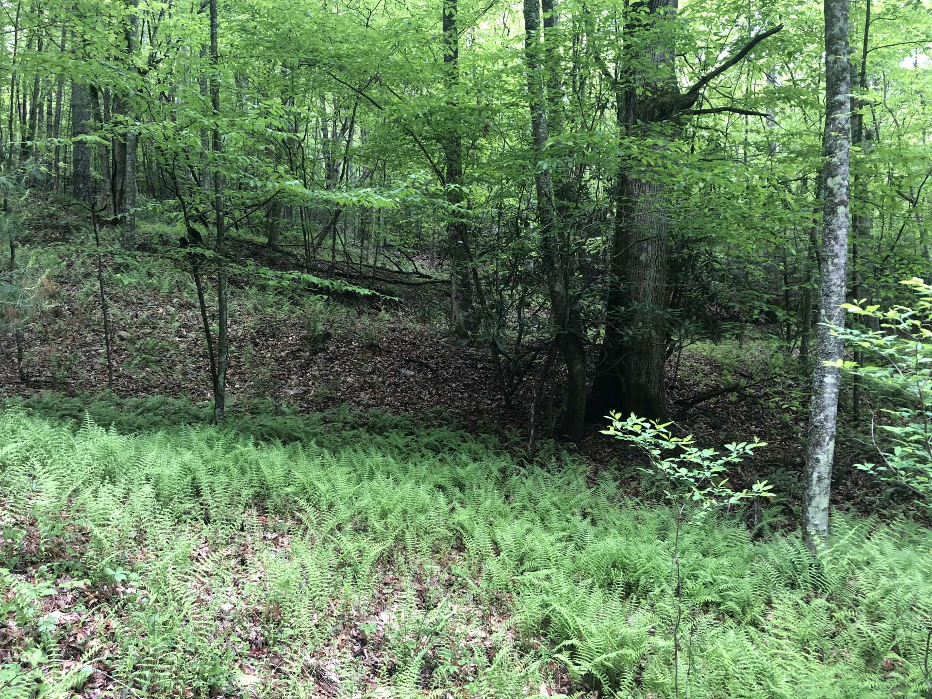 Image number 16 for the current listing