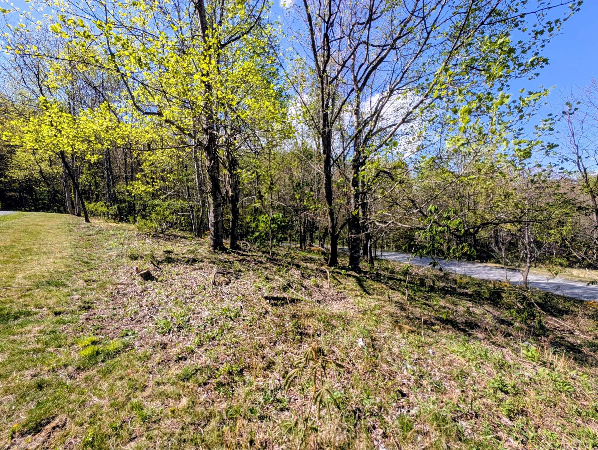 Image number 7 for the current listing
