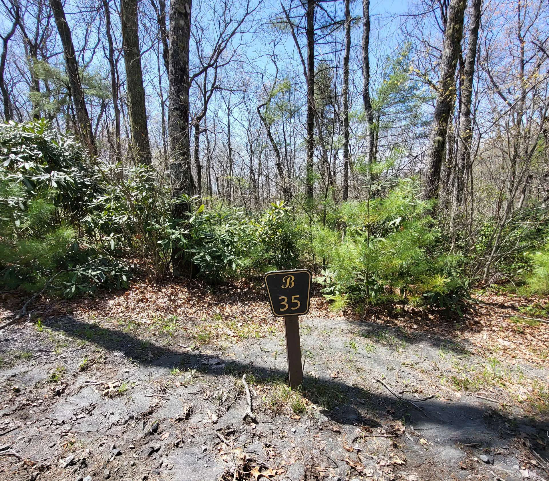 Image number 9 for the current listing