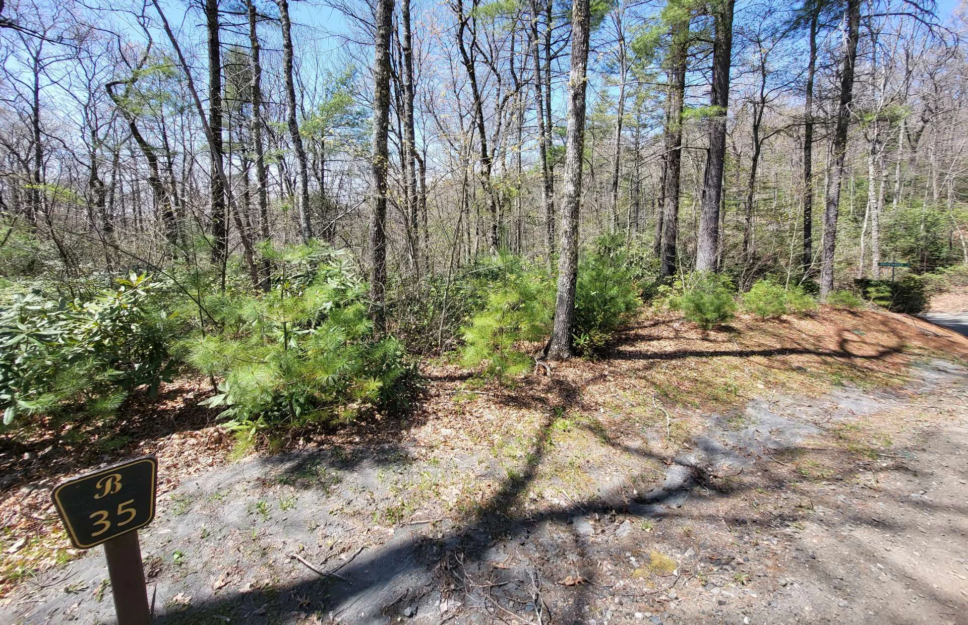 Image number 11 for the current listing