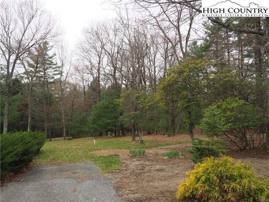 Image number 4 for the current listing