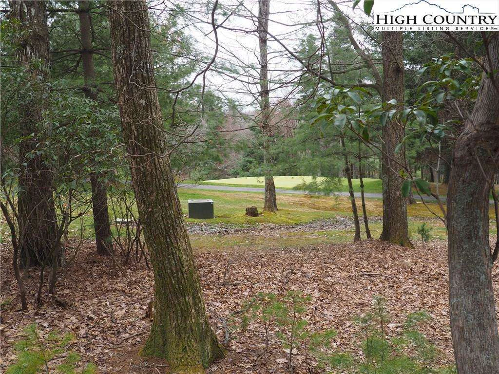 Image number 9 for the current listing