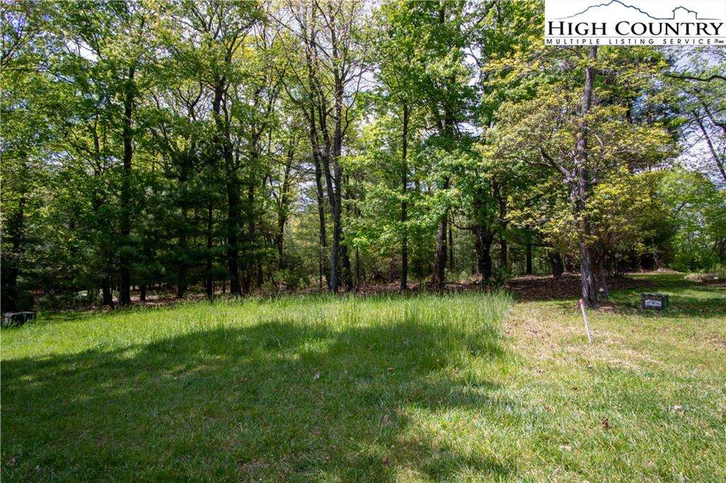 Image number 8 for the current listing