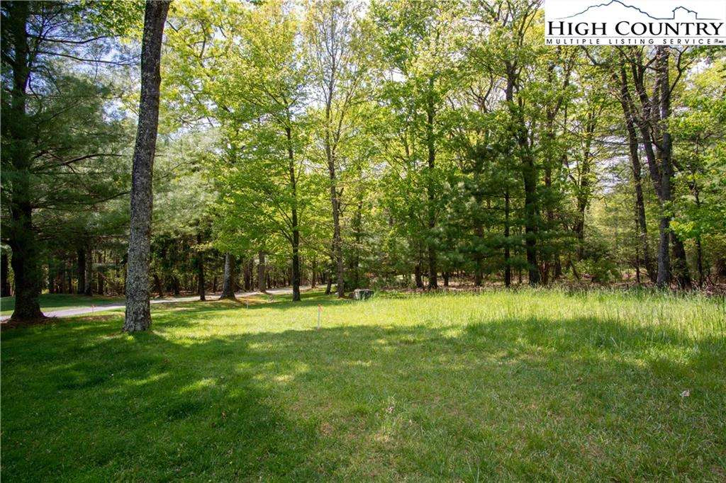 Image number 9 for the current listing