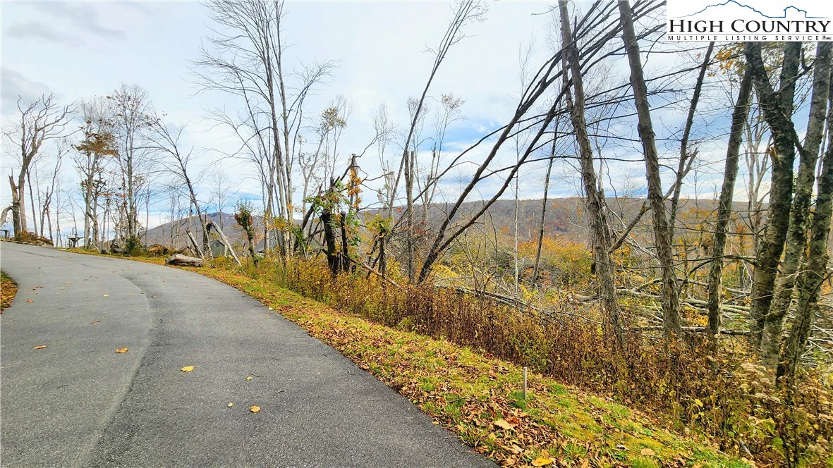 Image number 16 for the current listing
