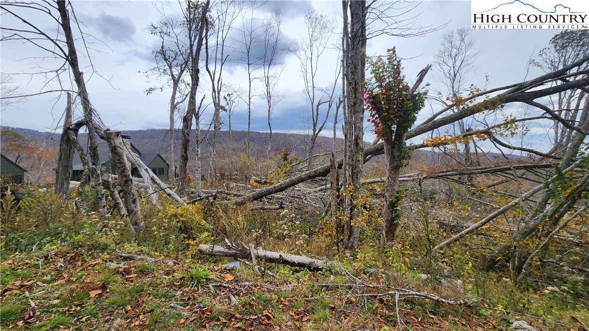Image number 2 for the current listing