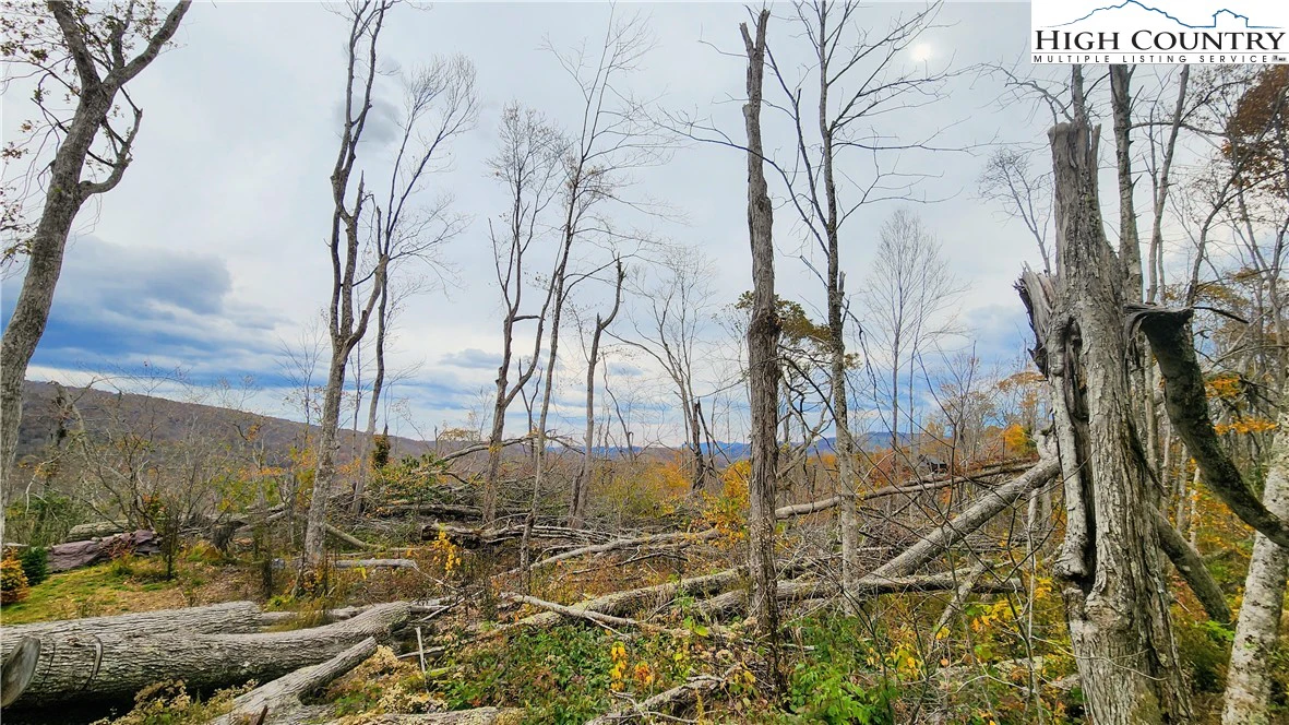 Image number 15 for the current listing
