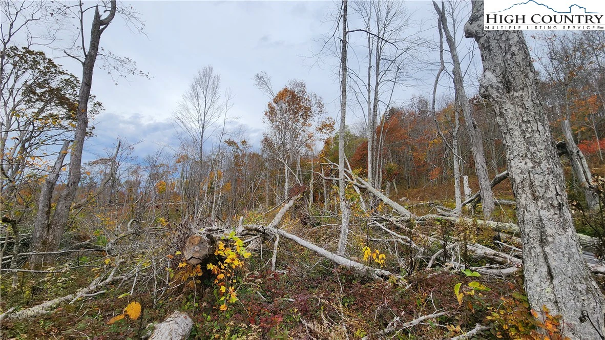 Image number 11 for the current listing