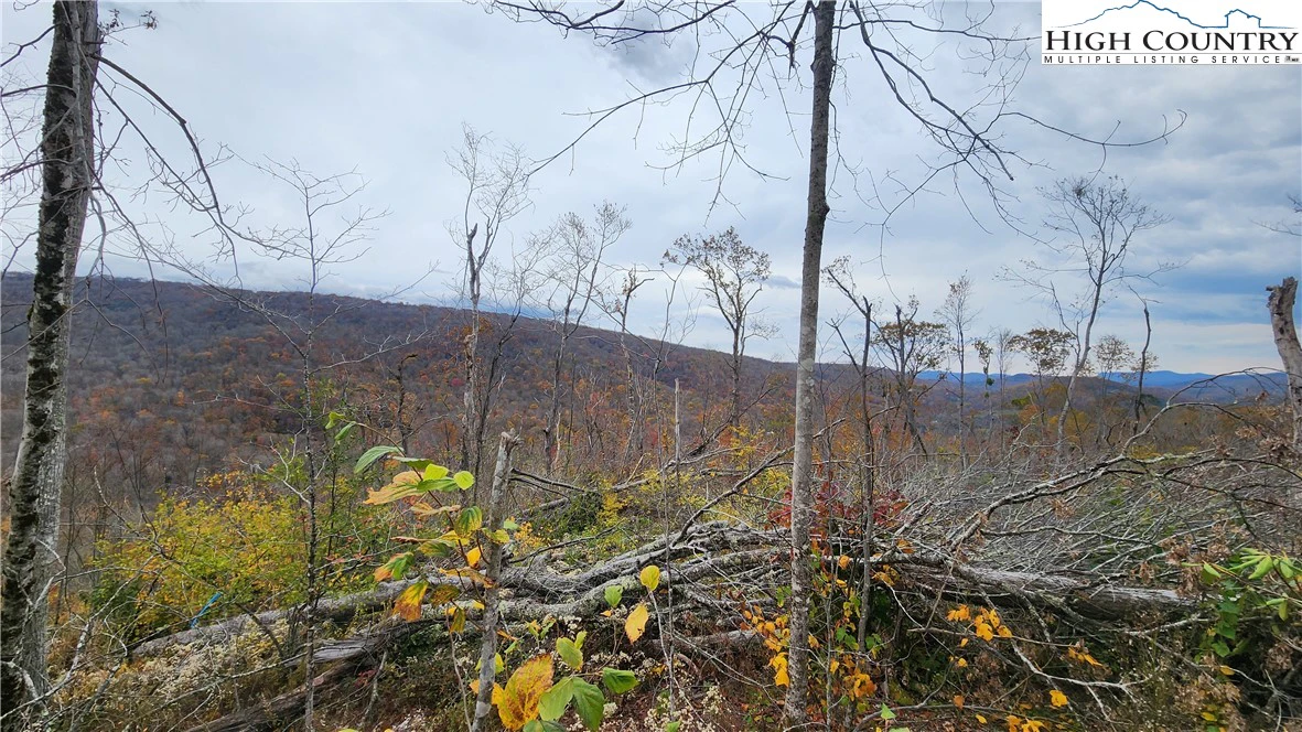Image number 9 for the current listing
