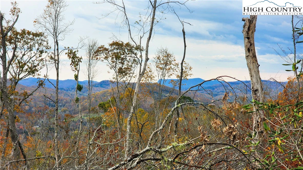 Image number 19 for the current listing