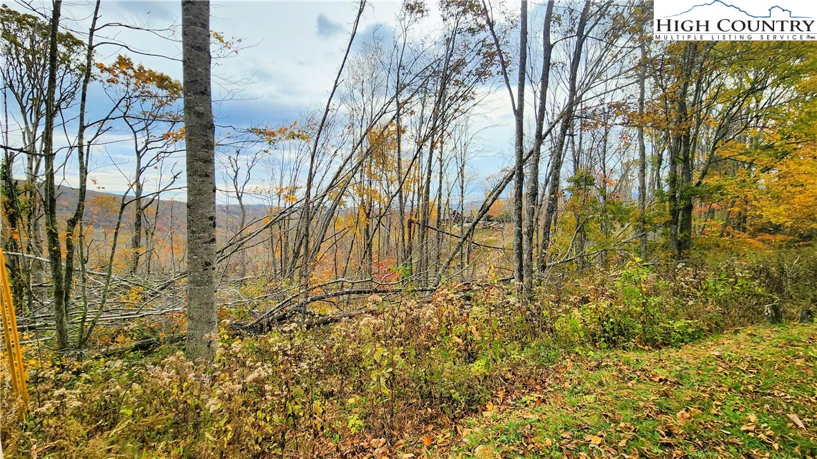 Image number 4 for the current listing