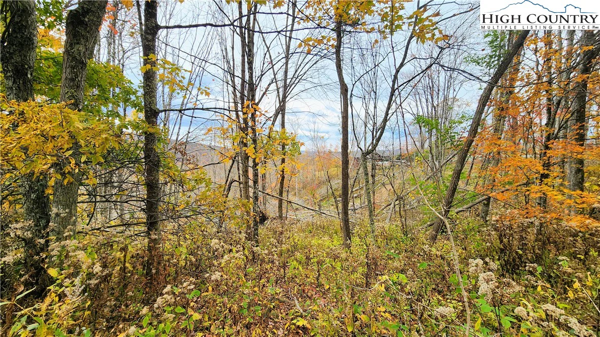 Image number 5 for the current listing