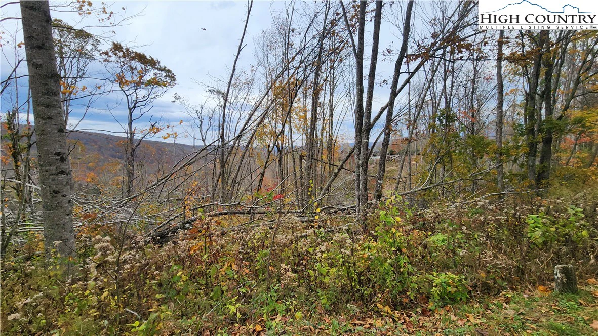 Image number 7 for the current listing