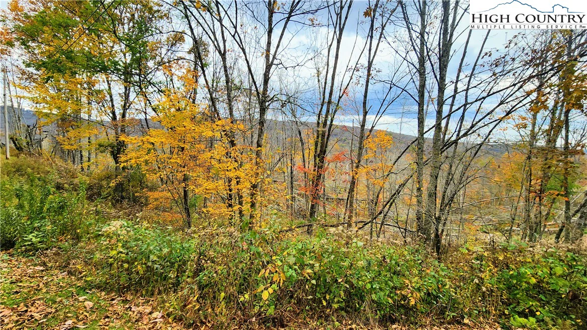 Image number 9 for the current listing