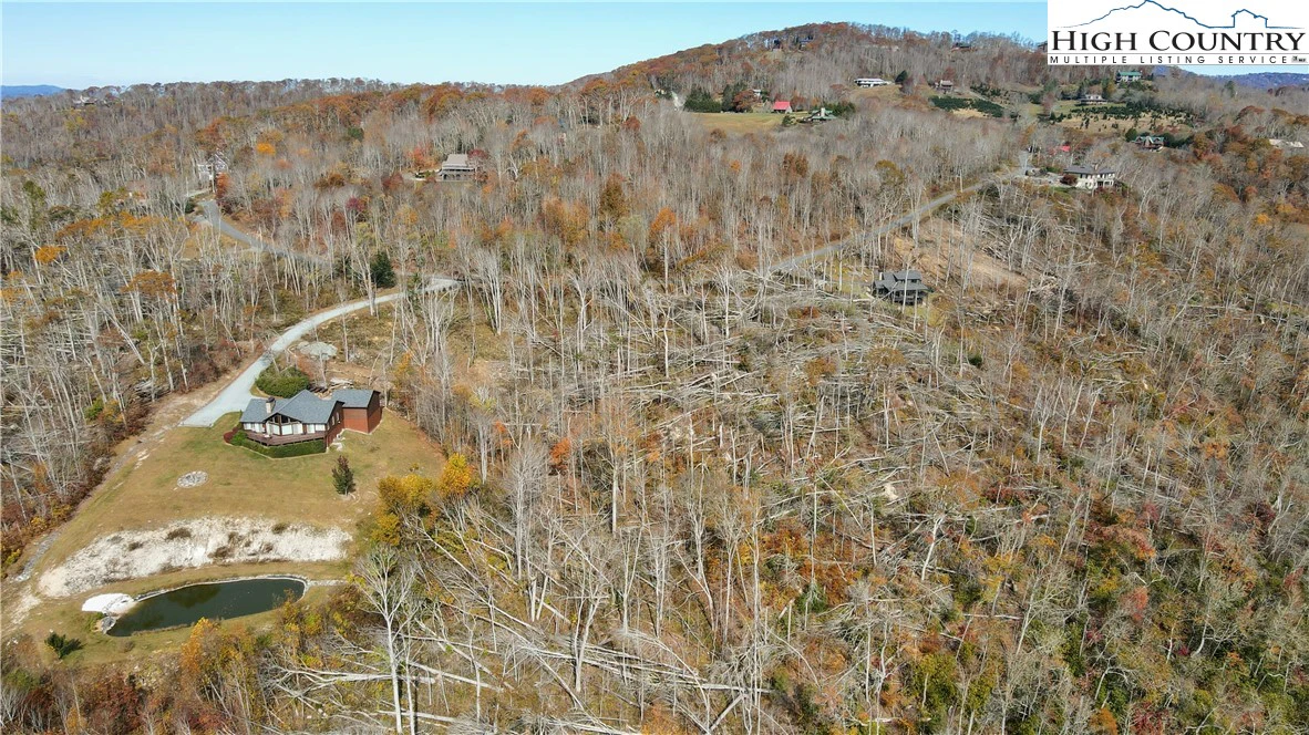 Image number 3 for the current listing