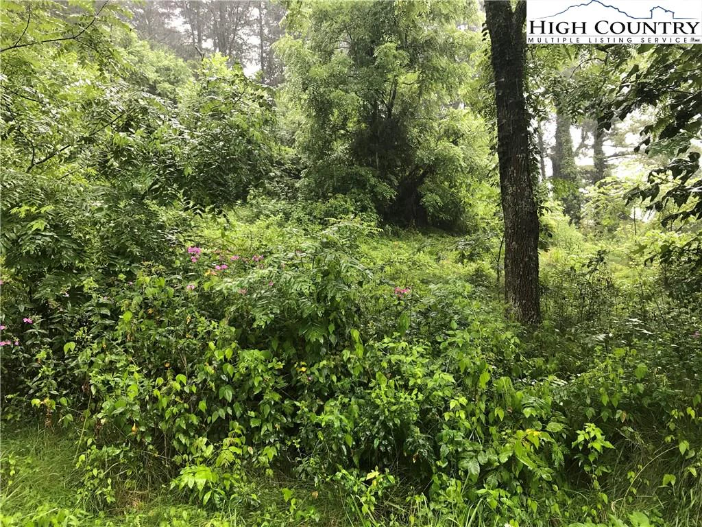 Image number 1 for the current listing