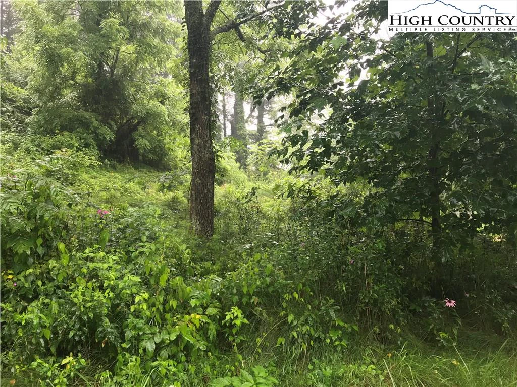 Image number 3 for the current listing
