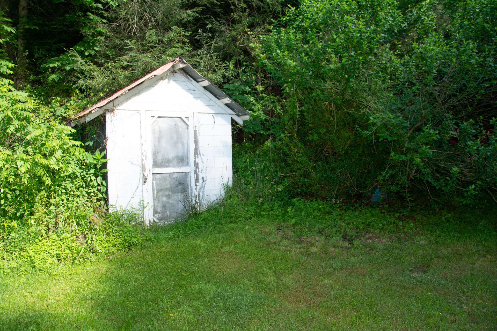 Image number 14 for the current listing