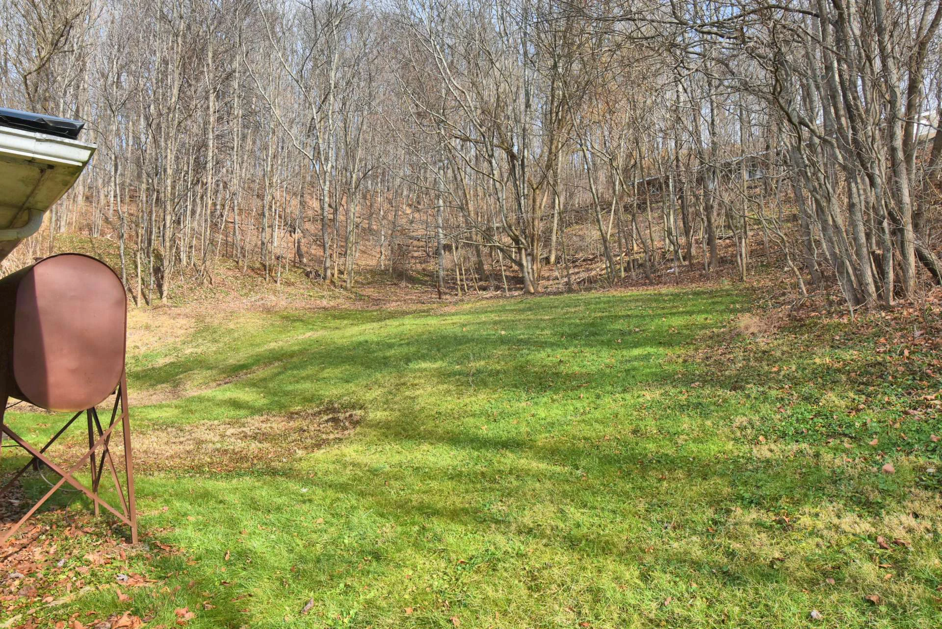 Image number 5 for the current listing
