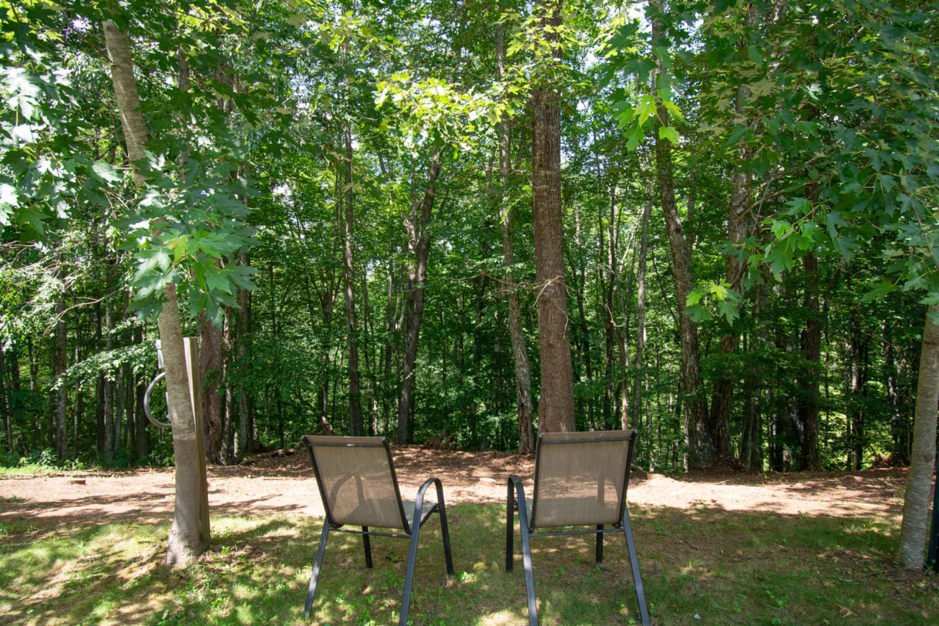 Image number 5 for the current listing