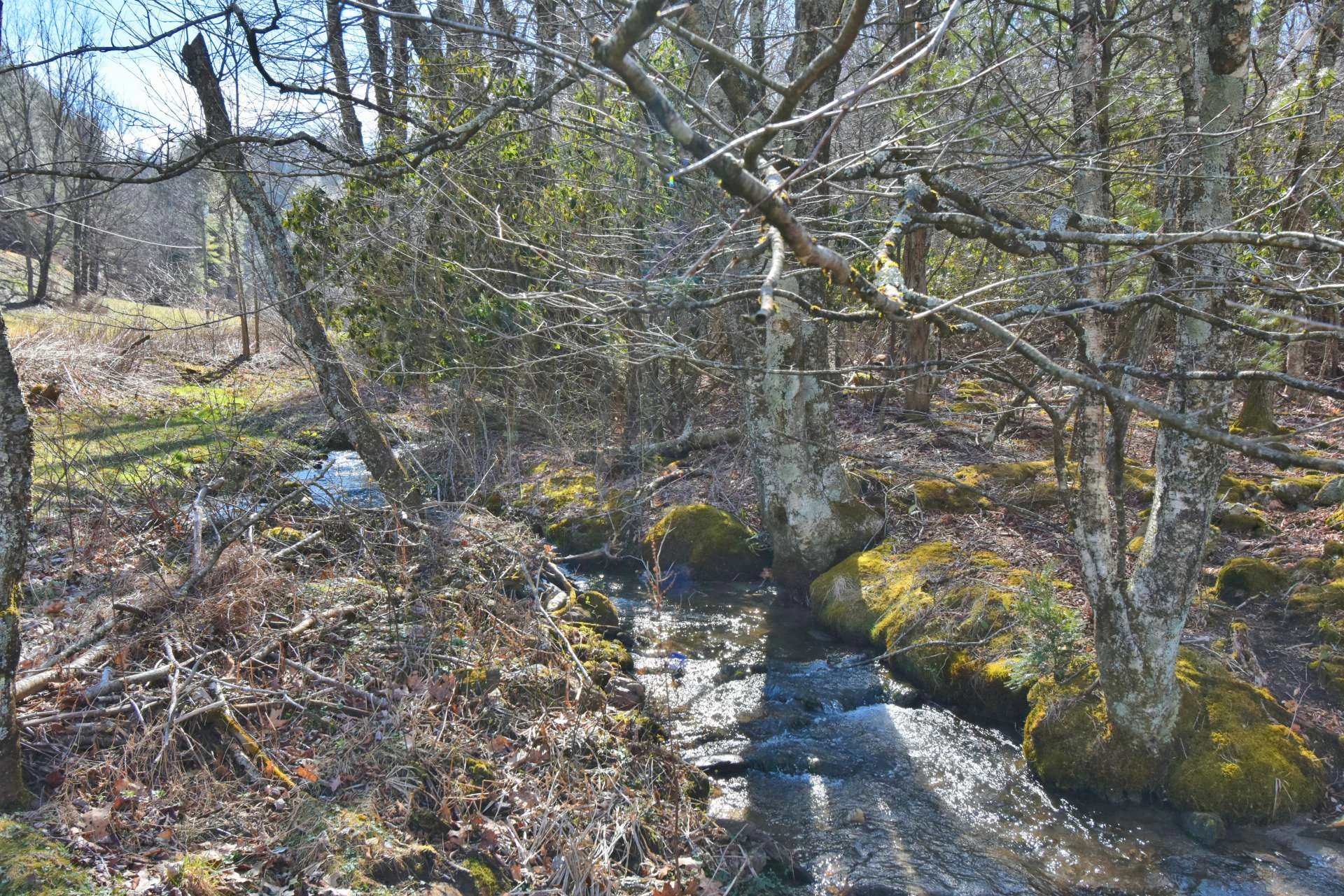Image number 7 for the current listing