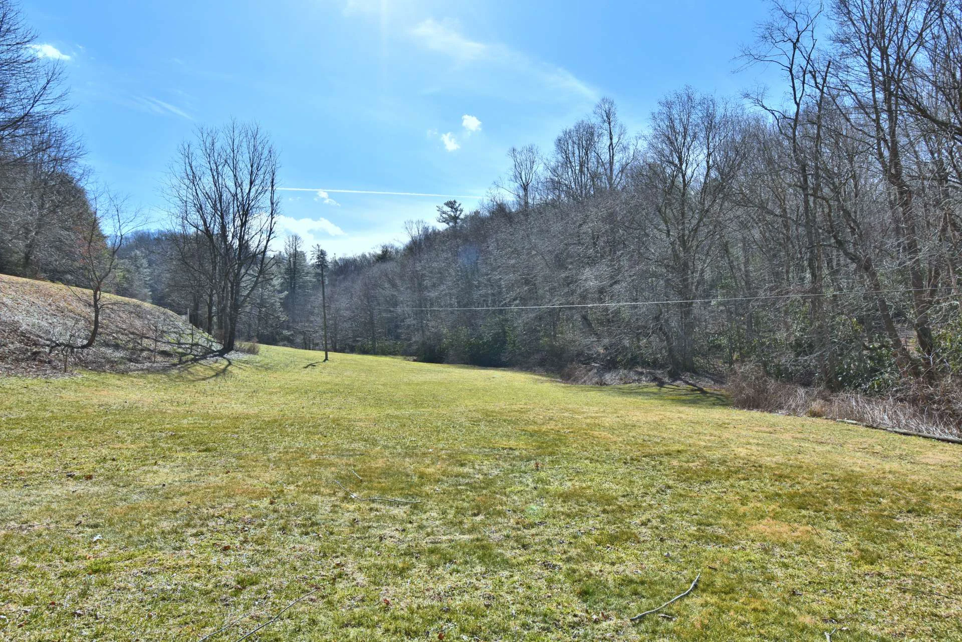 Image number 2 for the current listing