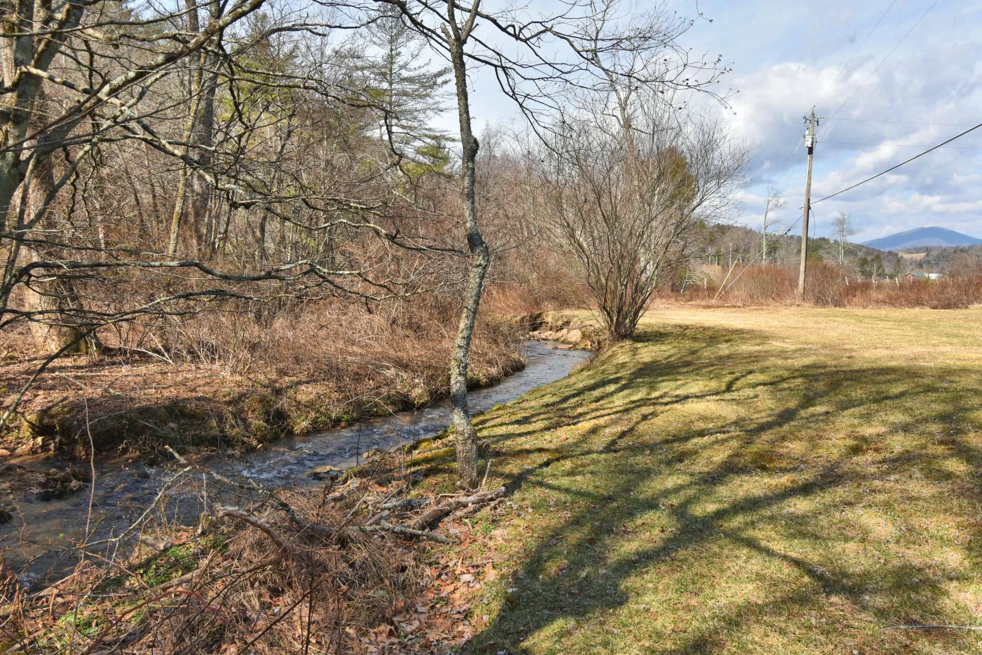 Image number 12 for the current listing