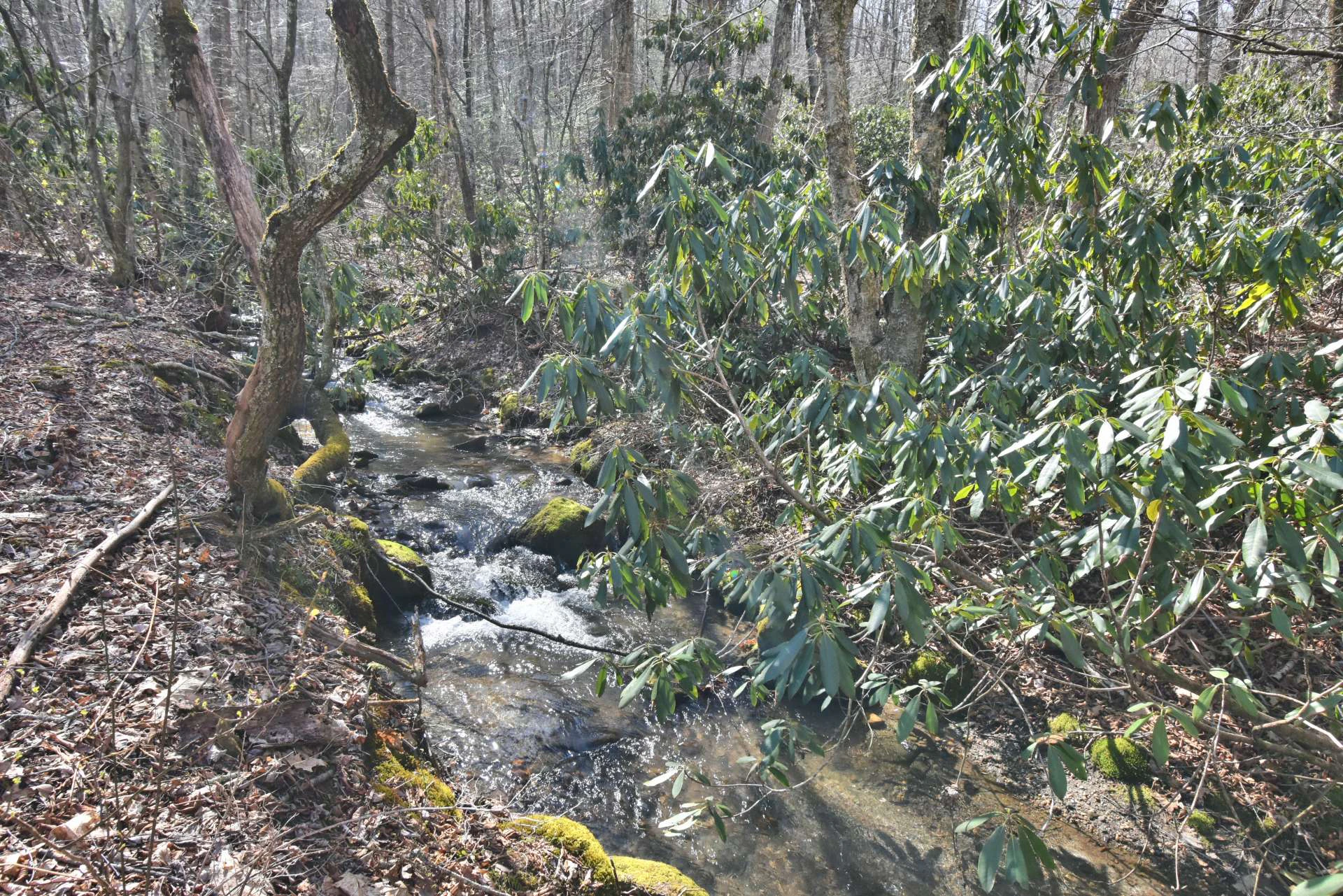 Image number 13 for the current listing