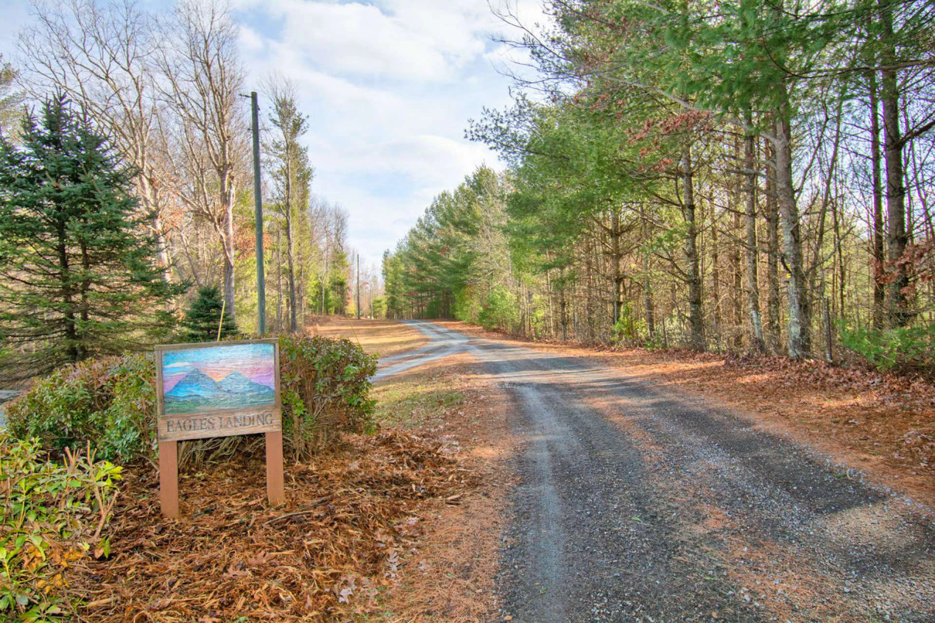 Image number 5 for the current listing