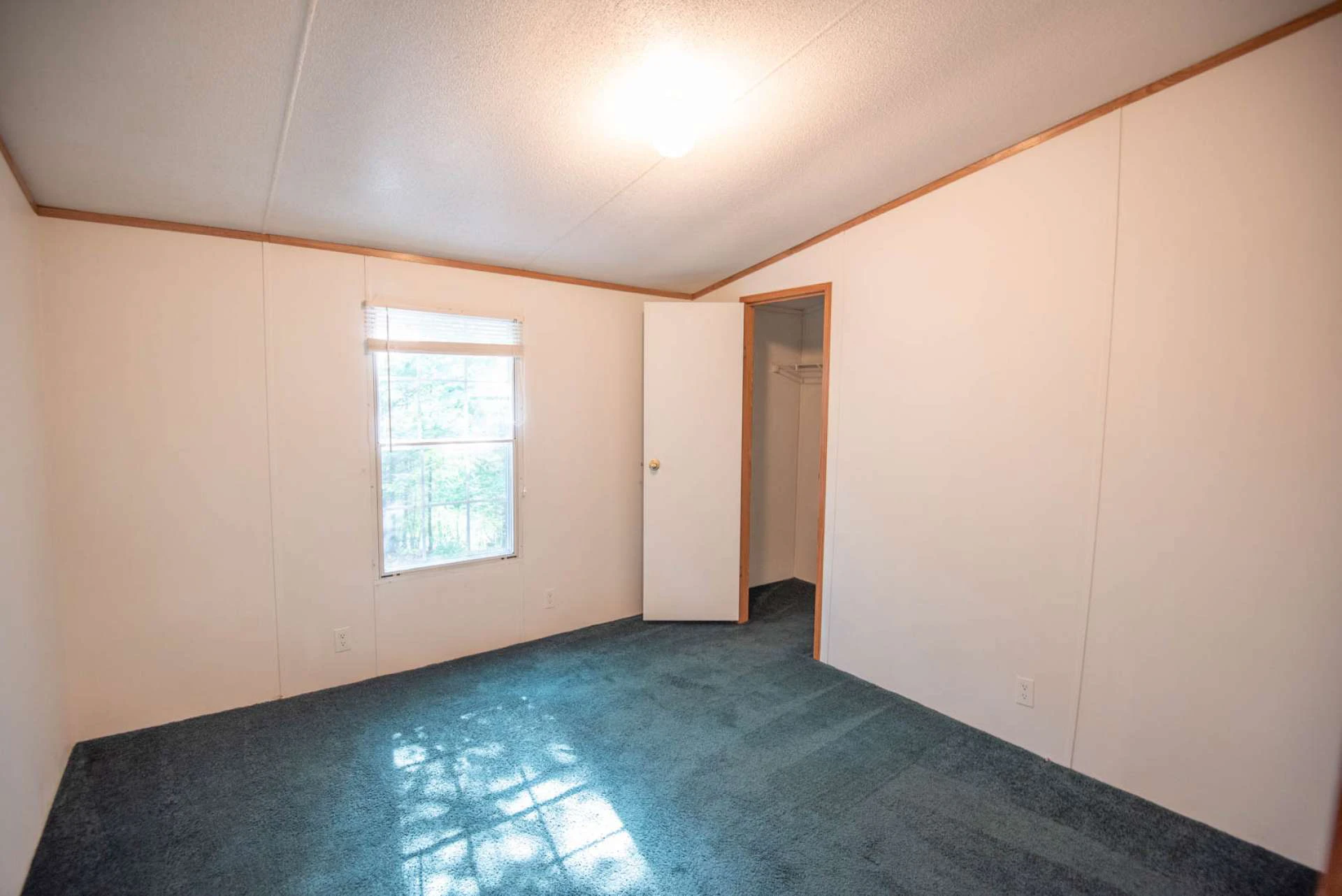 Image number 11 for the current listing