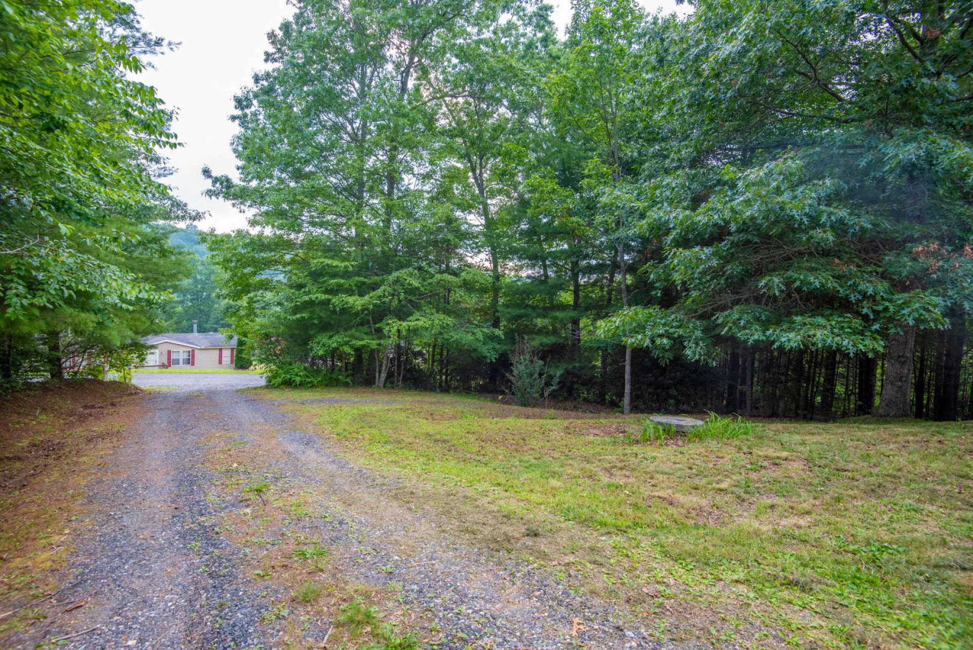 Image number 3 for the current listing
