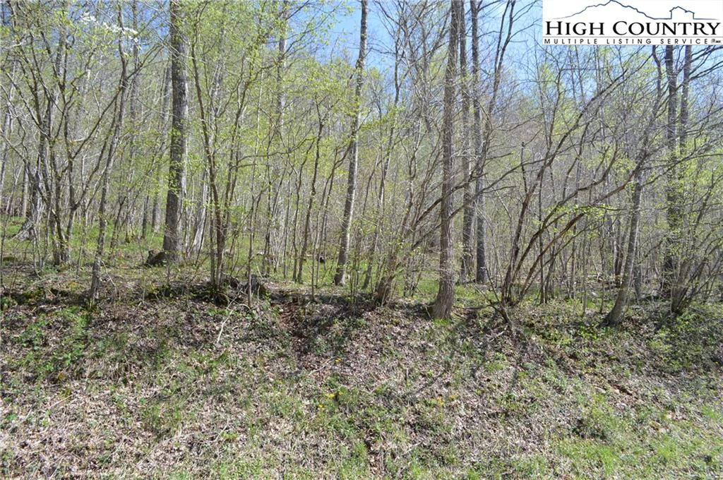Image number 1 for the current listing