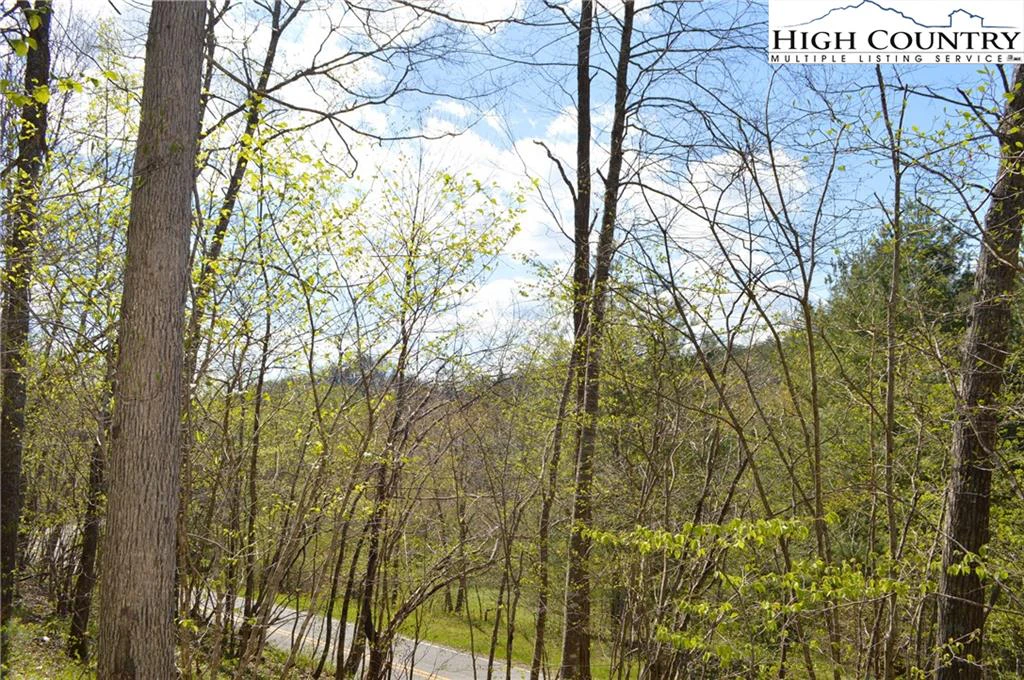 Image number 13 for the current listing